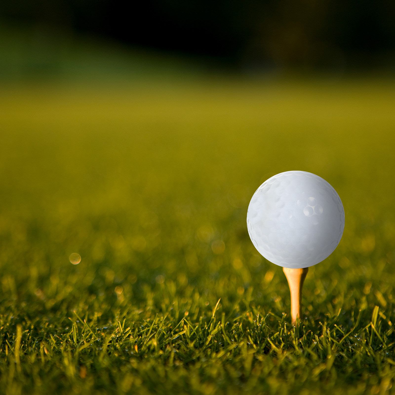 Golf Equipment For Beginners - Indoor Practice Golf Balls Equipment Long