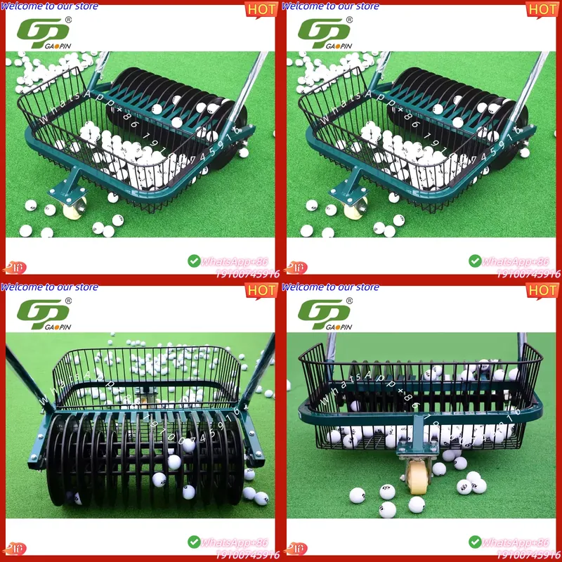 CECertificate Professional Gol - Golf Equipment Manufacturers 评论和价格
