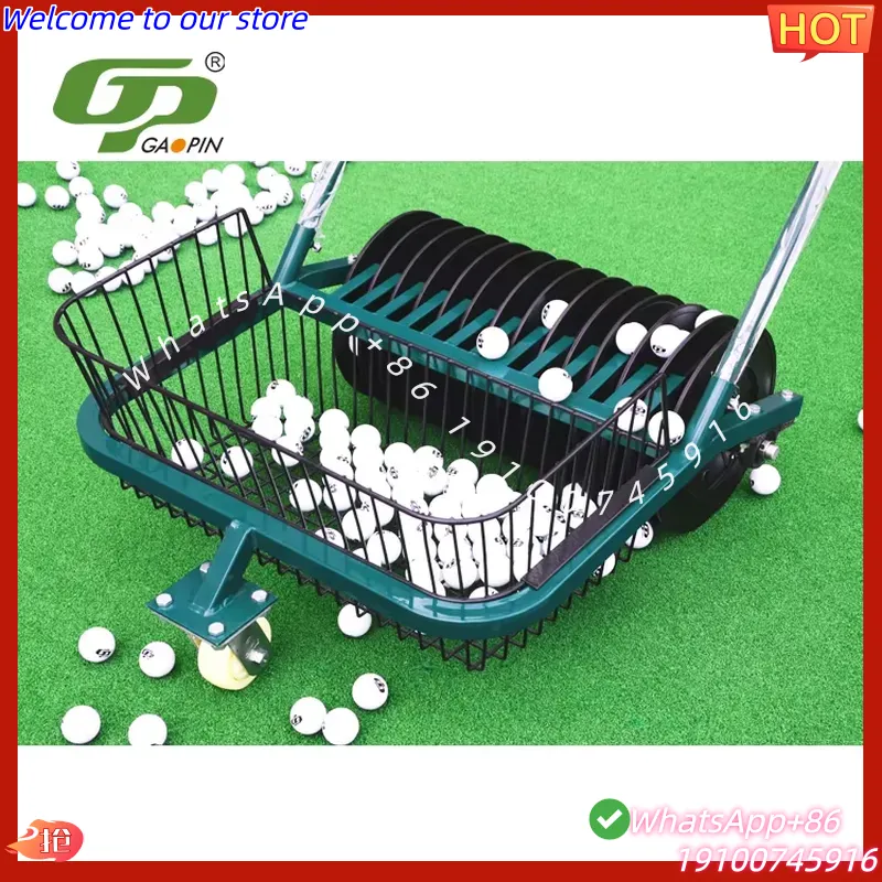 CECertificate Professional Gol - Golf Equipment Manufacturers 评论和价格