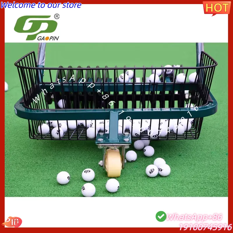 CECertificate Professional Gol - Golf Equipment Manufacturers 评论和价格
